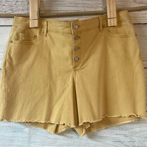 18 W Sonoma cut off shorts. New with tags. Button fly. Freyed edges..